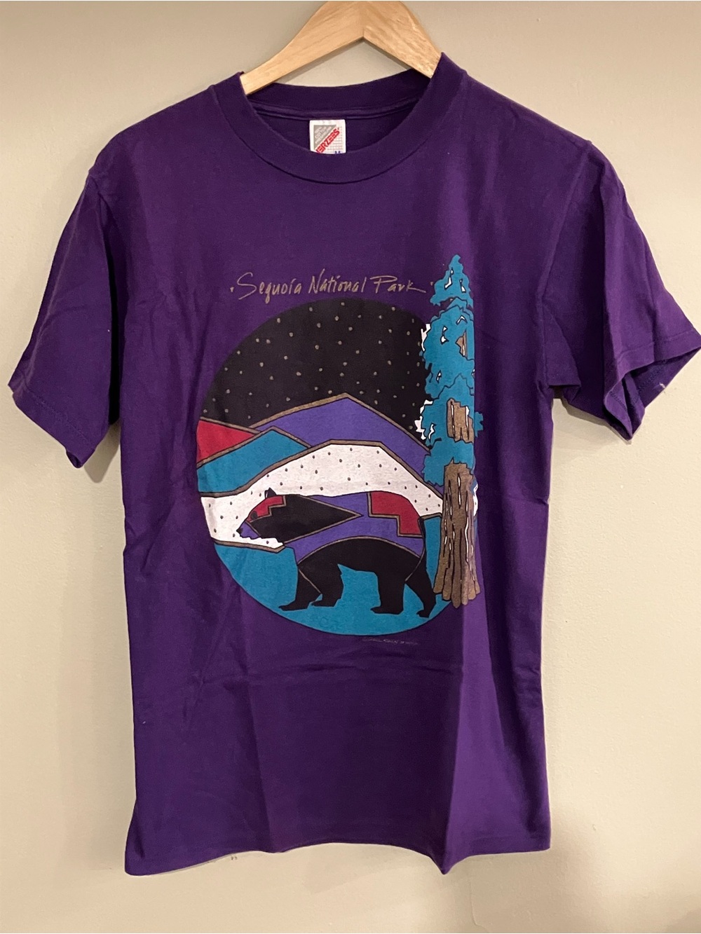 Vintage Jerzees Sequoia National Park T-Shirt